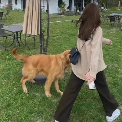 坚持住
